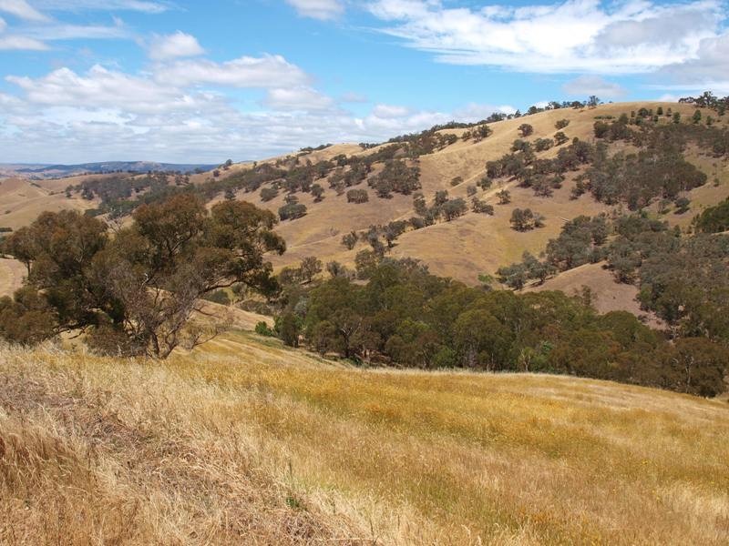 359 McNallys Road, Strath Creek VIC 3658