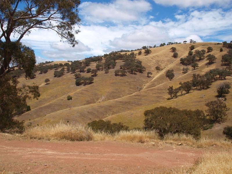 359 McNallys Road, Strath Creek VIC 3658