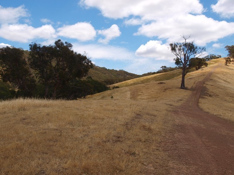 359 McNallys Road, Strath Creek VIC 3658