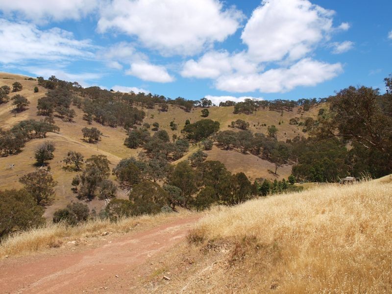 359 McNallys Road, Strath Creek VIC 3658