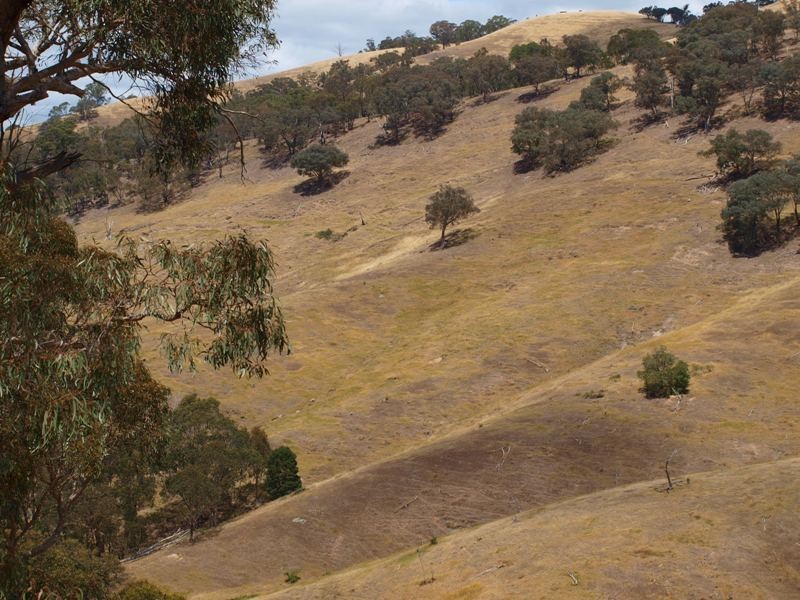 359 McNallys Road, Strath Creek VIC 3658