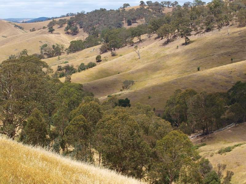 359 McNallys Road, Strath Creek VIC 3658