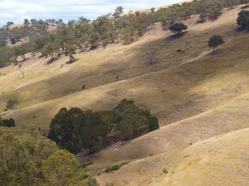 359 McNallys Road, Strath Creek VIC 3658