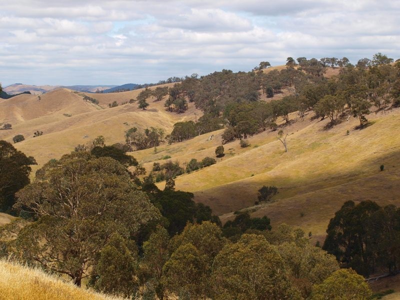 359 McNallys Road, Strath Creek VIC 3658