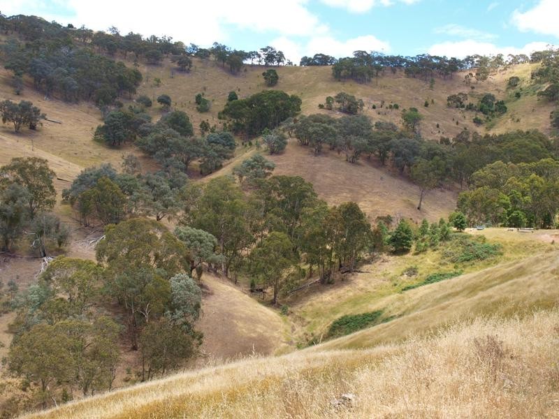 359 McNallys Road, Strath Creek VIC 3658