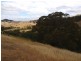 359 McNallys Road, Strath Creek VIC 3658