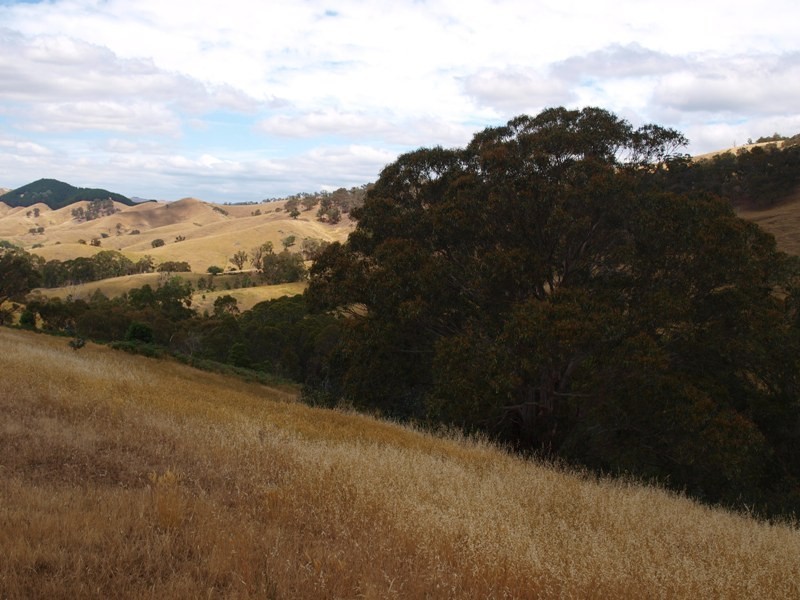 359 McNallys Road, Strath Creek VIC 3658