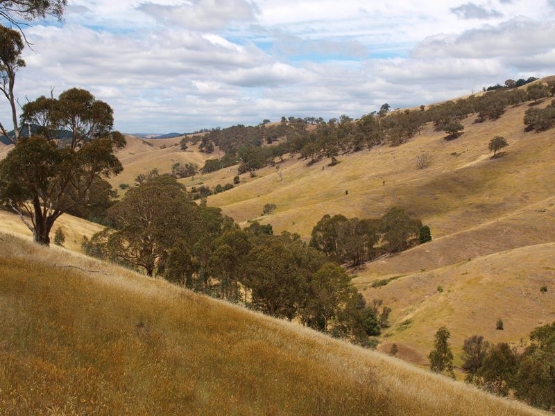 359 McNallys Road, Strath Creek VIC 3658