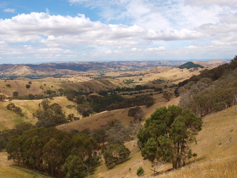 359 McNallys Road, Strath Creek VIC 3658