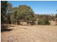 1200 Jones Road, Broadford VIC 3658