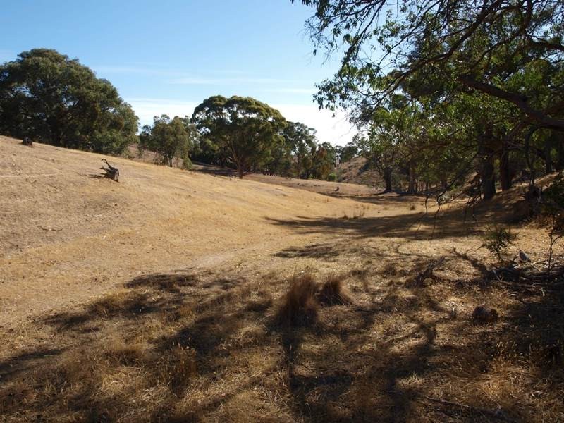 1200 Jones Road, Broadford VIC 3658