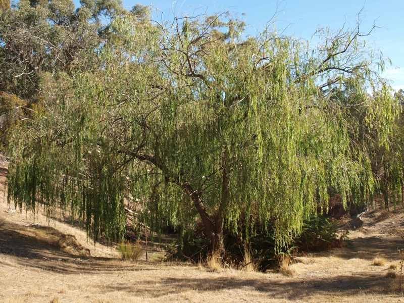 1200 Jones Road, Broadford VIC 3658