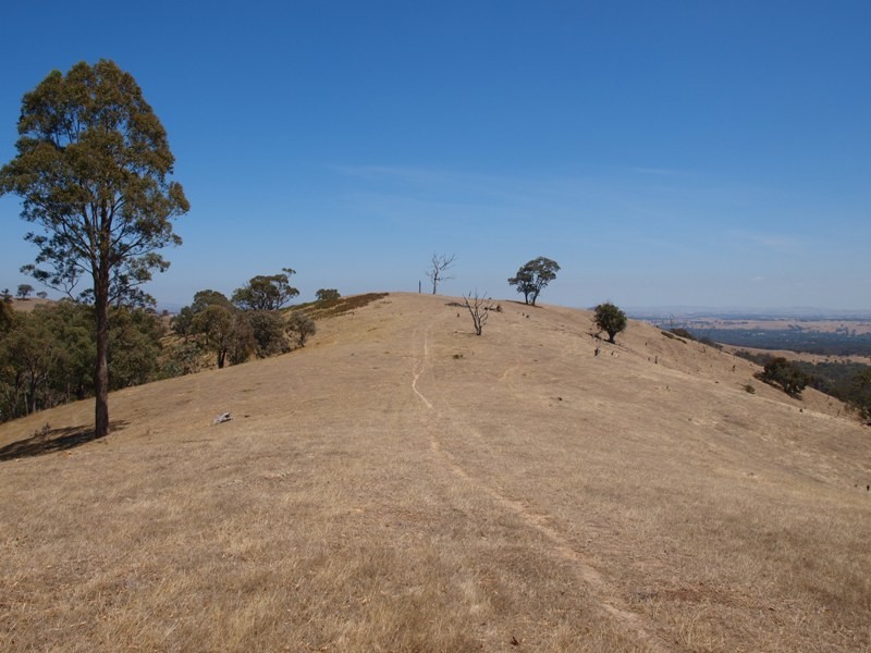 1200 Jones Road, Broadford VIC 3658