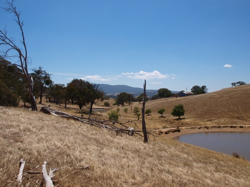 50 Englishs Road, Broadford VIC 3658