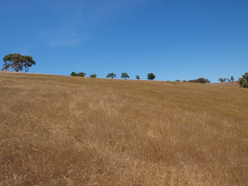 50 Englishs Road, Broadford VIC 3658