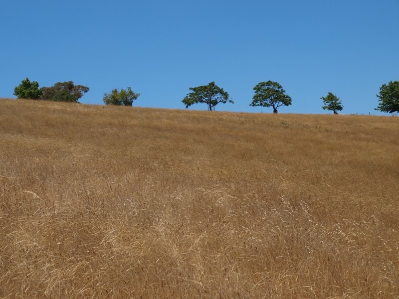 50 Englishs Road, Broadford VIC 3658