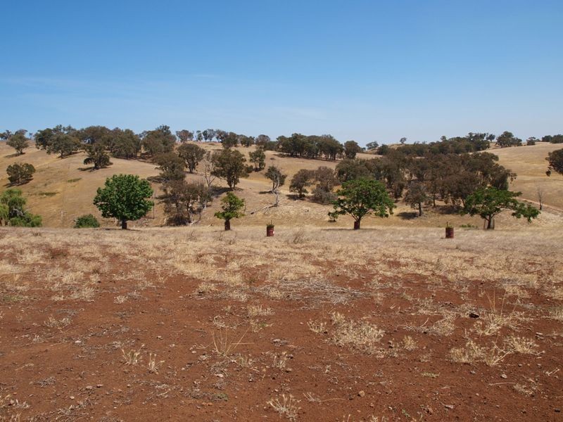 50 Englishs Road, Broadford VIC 3658