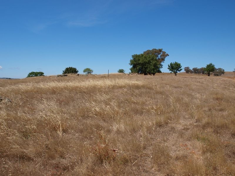 50 Englishs Road, Broadford VIC 3658