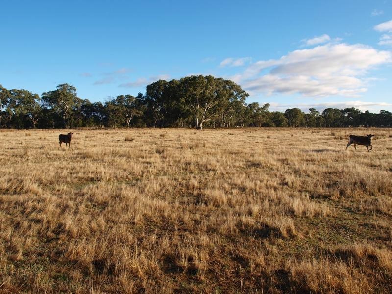 1 Kurkurac Court, Kilmore VIC 3764