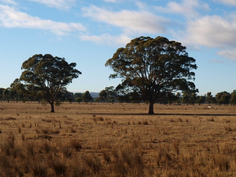 1 Kurkurac Court, Kilmore VIC 3764