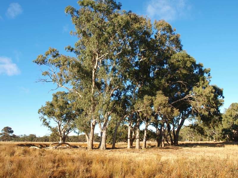 1 Kurkurac Court, Kilmore VIC 3764