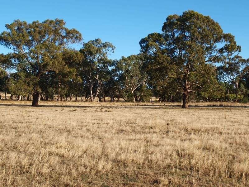 1 Kurkurac Court, Kilmore VIC 3764