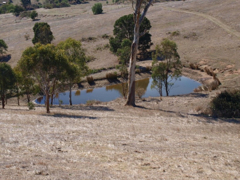 174 Allandale Road, Strath Creek VIC 3658