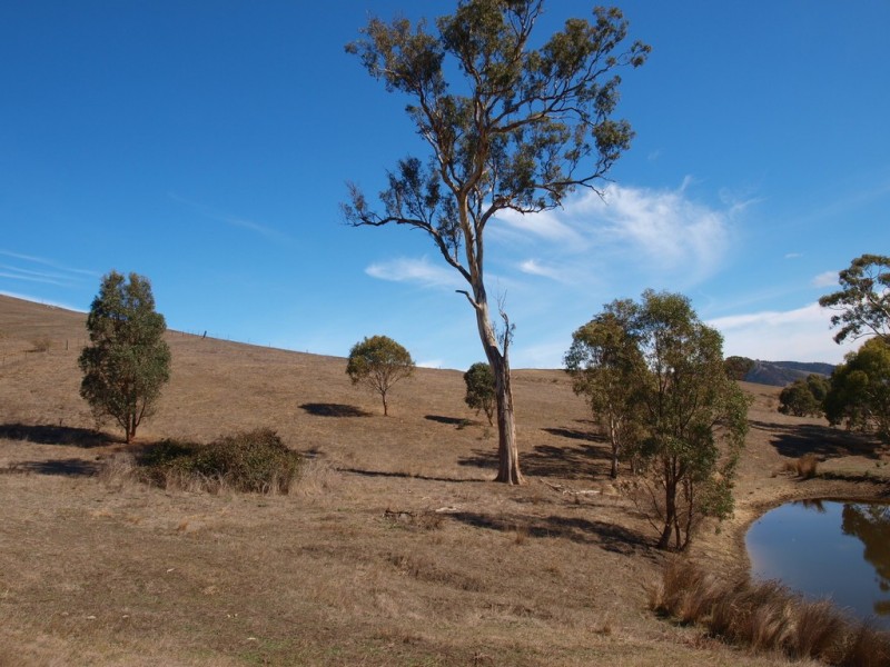 174 Allandale Road, Strath Creek VIC 3658