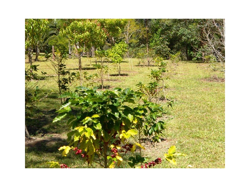 1416 Tin Can Bay Rd,, Goomboorian QLD 4570