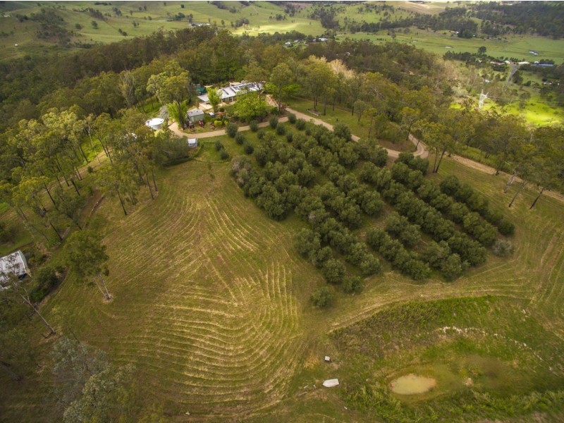 Glastonbury QLD 4570