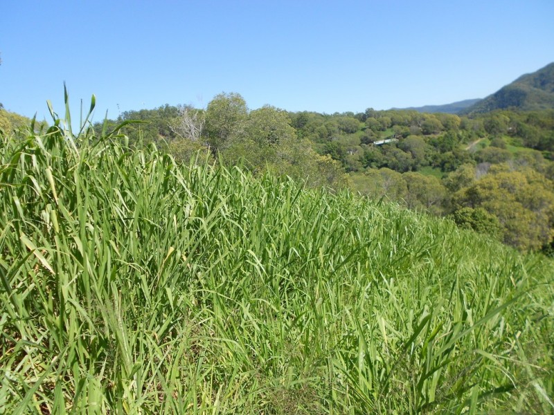 46 Elizabeth St, Imbil QLD 4570