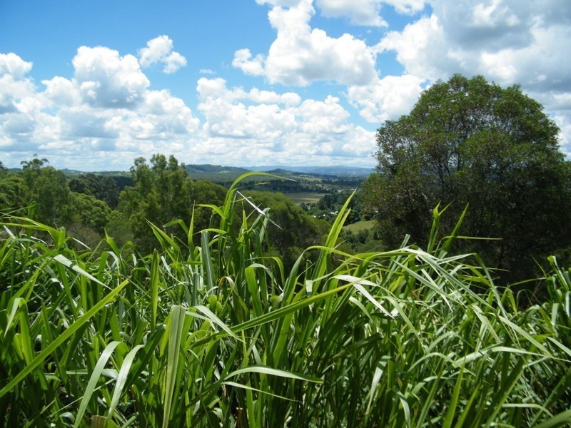 46 Elizabeth St, Imbil QLD 4570