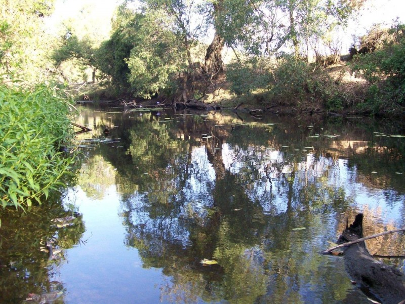 Lot 236 Bauple Woolooga Road, Gootchie QLD 4650