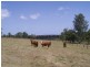 Lot 236 Bauple Woolooga Road, Gootchie QLD 4650