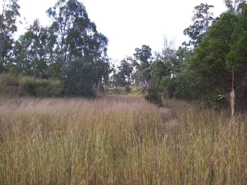Lot 2 Balkin Street, Gunalda QLD 4570