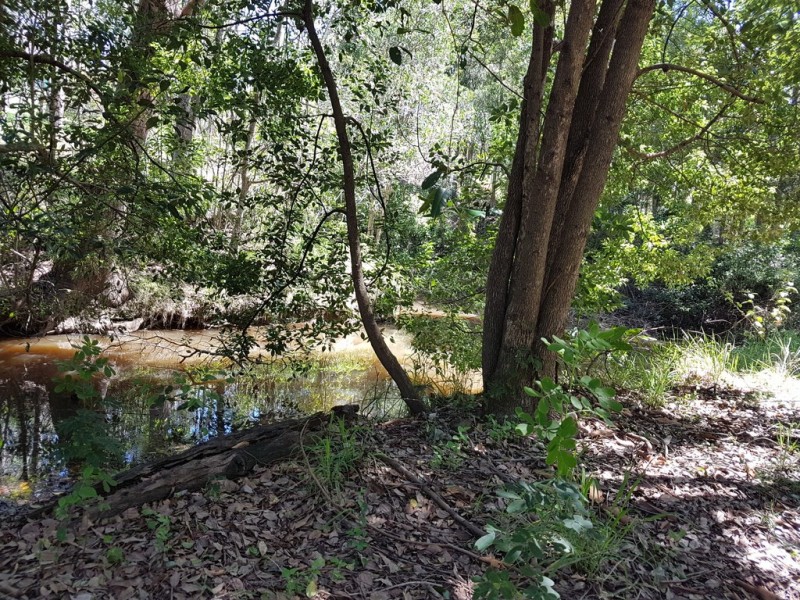 42 Allen Road, Chatsworth QLD 4570