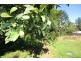 78A Old Maryborough Road, Gympie QLD 4570