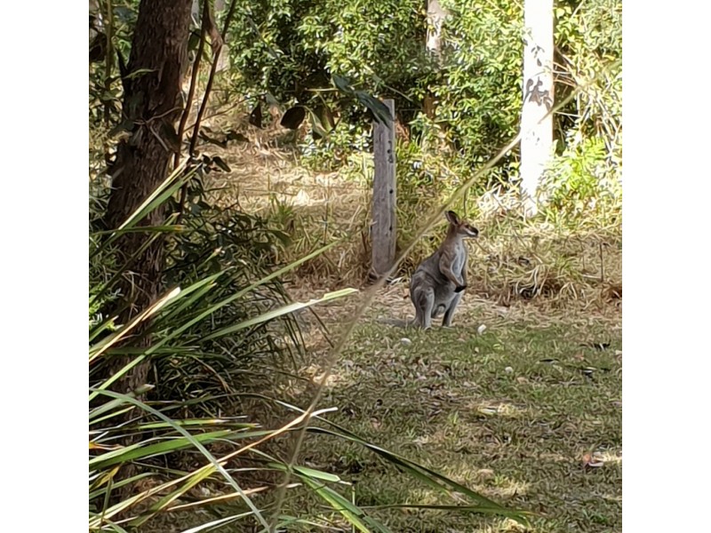 North Deep Creek QLD 4570