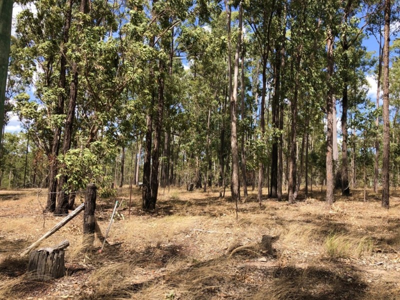 Lot 987 Arborfourteen Road, Glenwood QLD 4570