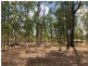 Lot 987 Arborfourteen Road, Glenwood QLD 4570