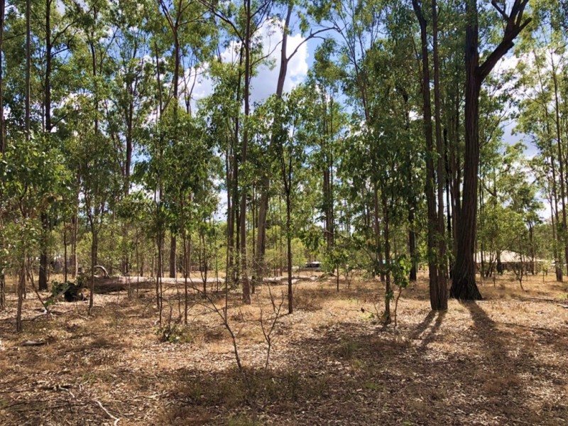 Lot 987 Arborfourteen Road, Glenwood QLD 4570