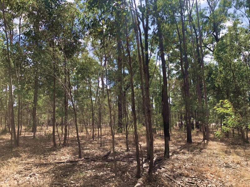 Lot 987 Arborfourteen Road, Glenwood QLD 4570