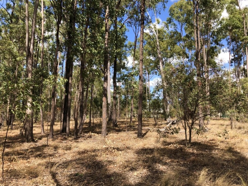 Lot 987 Arborfourteen Road, Glenwood QLD 4570