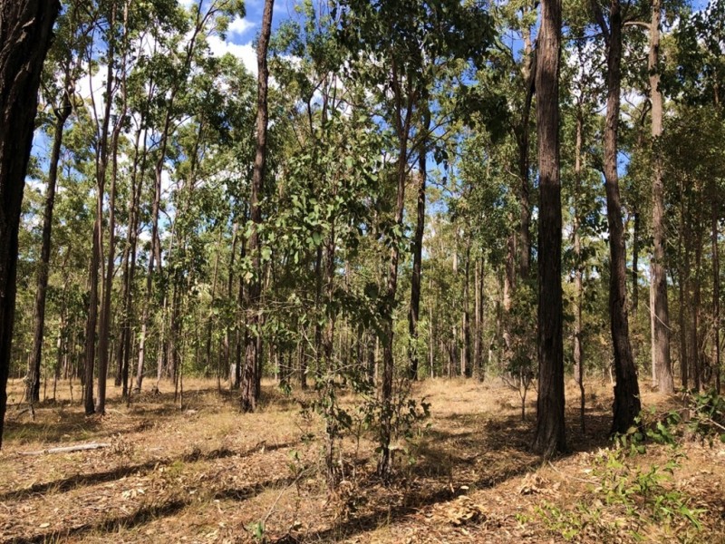 Lot 987 Arborfourteen Road, Glenwood QLD 4570