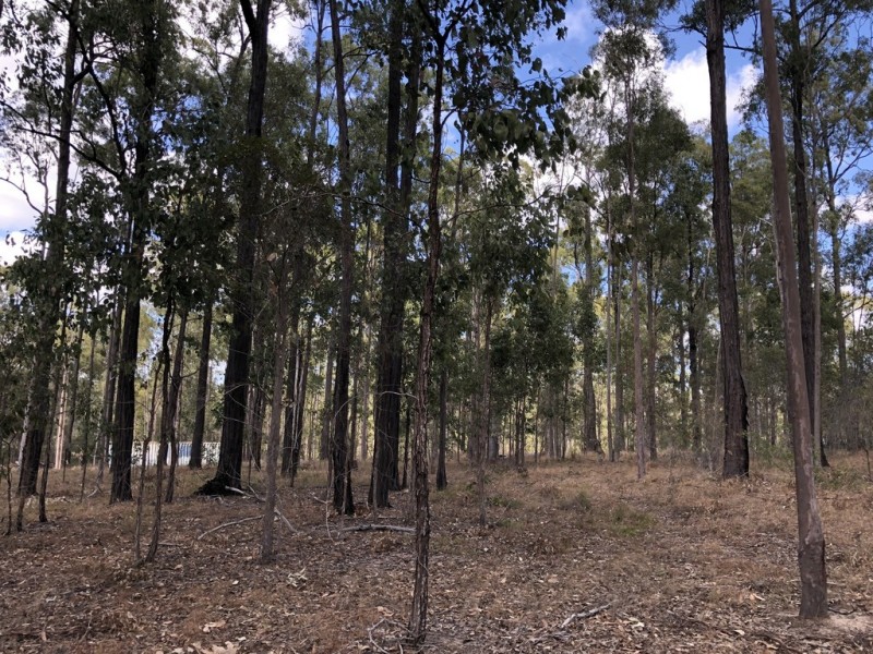 Lot 987 Arborfourteen Road, Glenwood QLD 4570