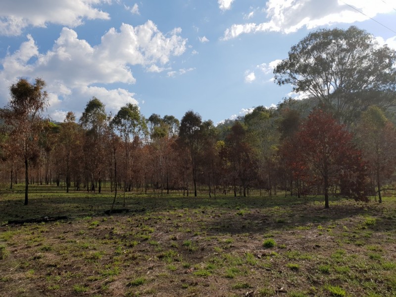 15 Lukin Street (Lot 2), Kilkivan QLD 4600