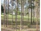 Lot 2 MEMORY LANE, North Deep Creek QLD 4570