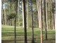 Lot 2 MEMORY LANE, North Deep Creek QLD 4570