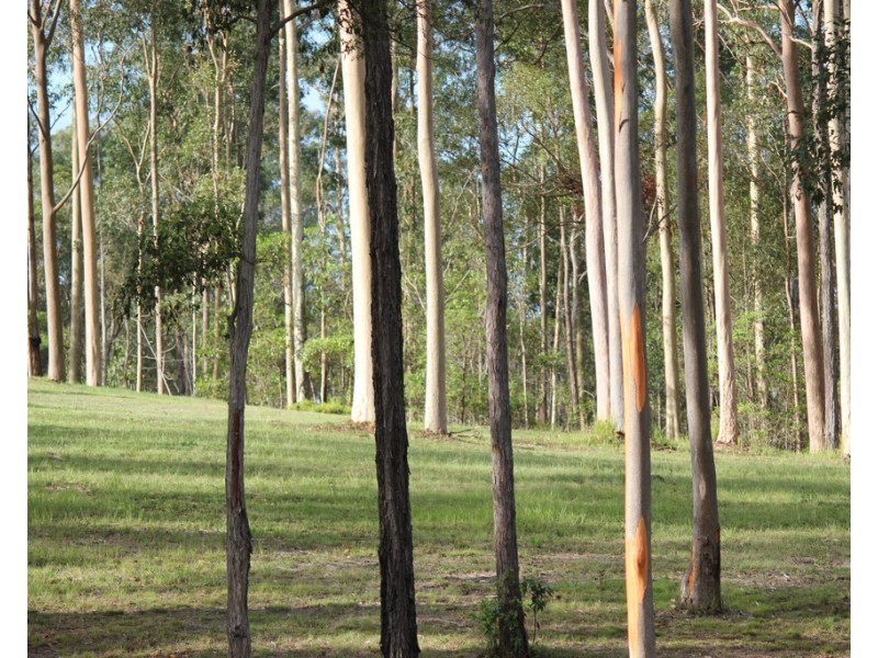 Lot 2 MEMORY LANE, North Deep Creek QLD 4570
