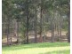 2 Memory Lane, North Deep Creek QLD 4570